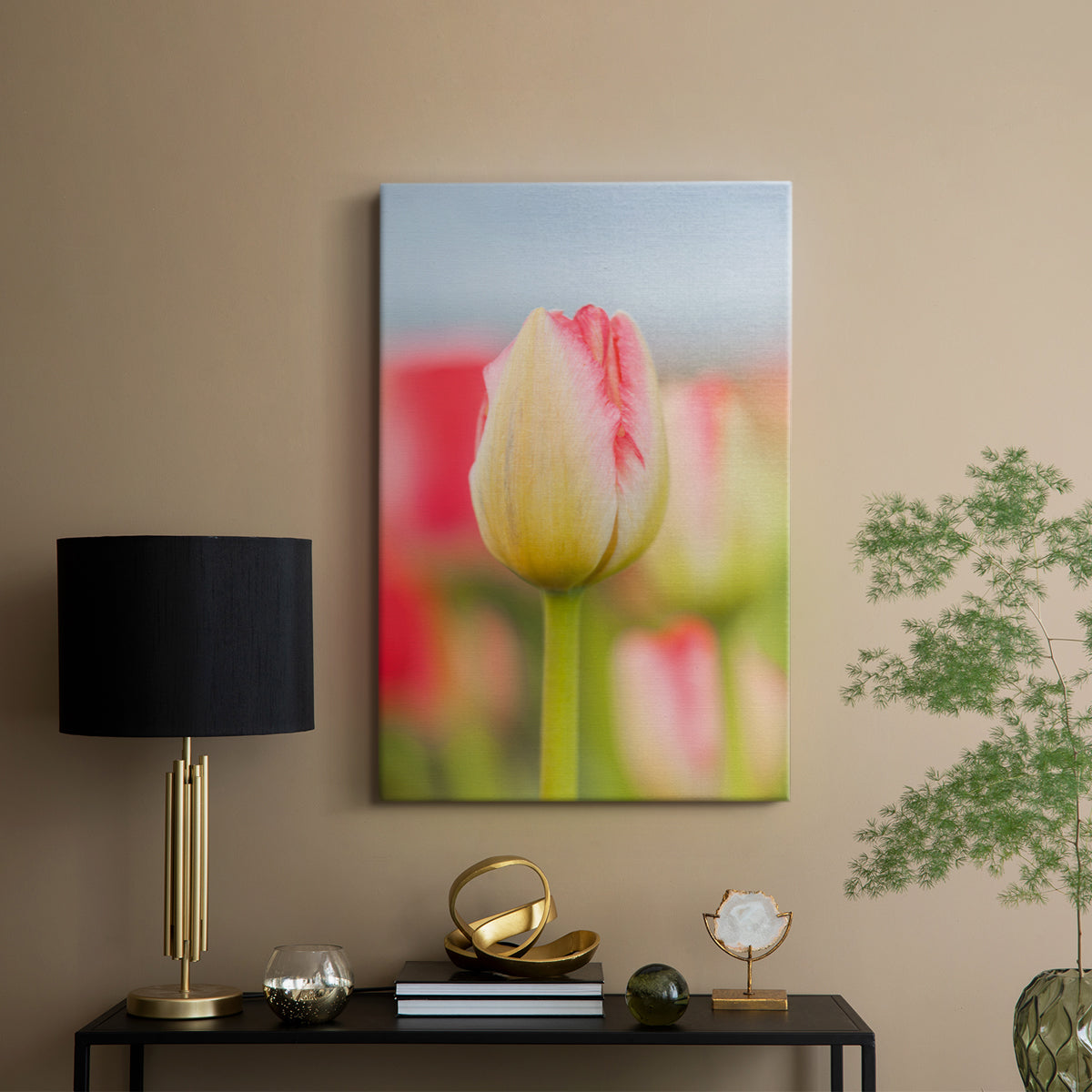 Twotone Tulip - Canvas Art Print