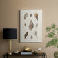 Knorr Shells & Coral IX - Canvas Art Print