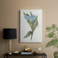 Blue Tulip Picks II - Canvas Art Print