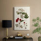 Leaves & Berries III - Canvas Art Print