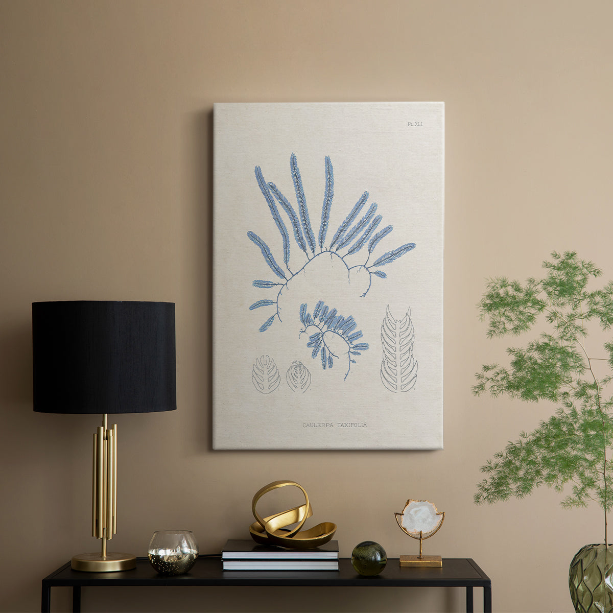 Blue Marine Algae II - Canvas Art Print