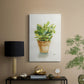 Succulent I - Canvas Art Print
