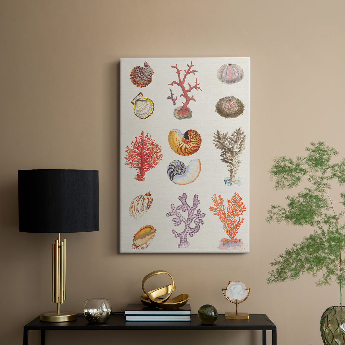 Coral & Shell Collage I - Canvas Art Print
