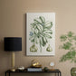 Buchoz Tropicals IX - Canvas Art Print