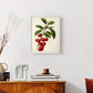 Antique Fruit II - Restickable Framed Art Print
