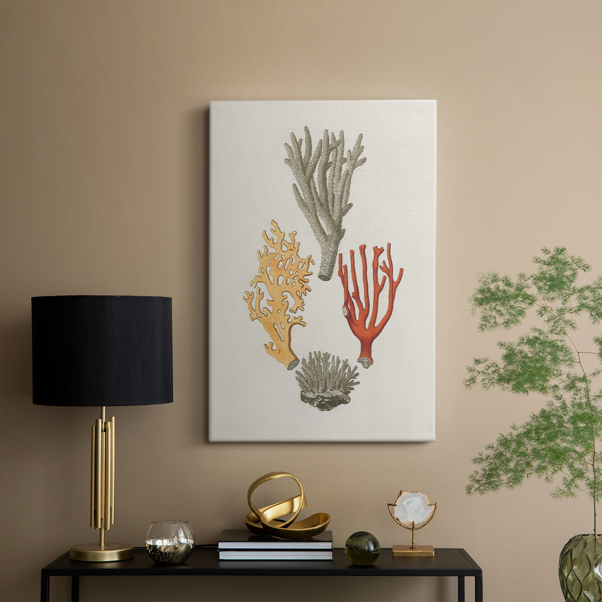 Knorr Shells & Coral IV - Canvas Art Print