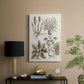 Sepia Botanical Journal VII - Canvas Art Print