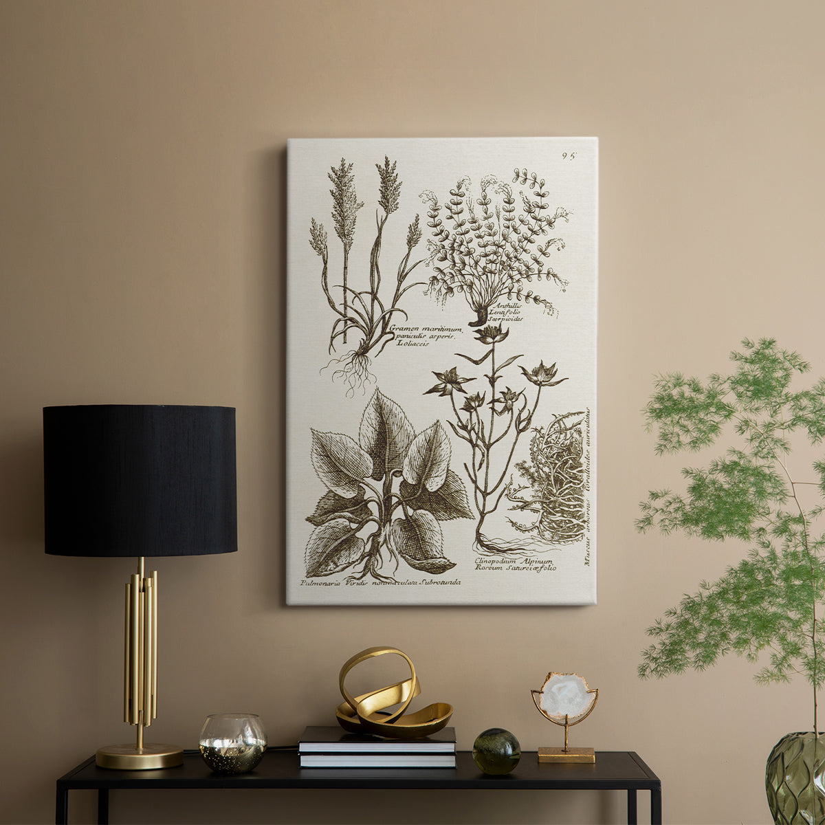 Sepia Botanical Journal VII - Canvas Art Print