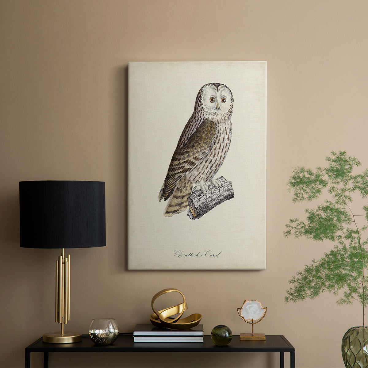 French Owls V - Canvas Art Print