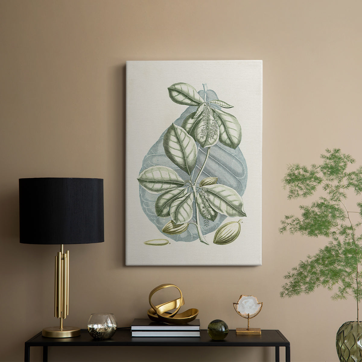 Buchoz Tropicals VI - Canvas Art Print
