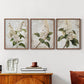 Floral Study Series LXXXVII - Restickable Framed Art Set
