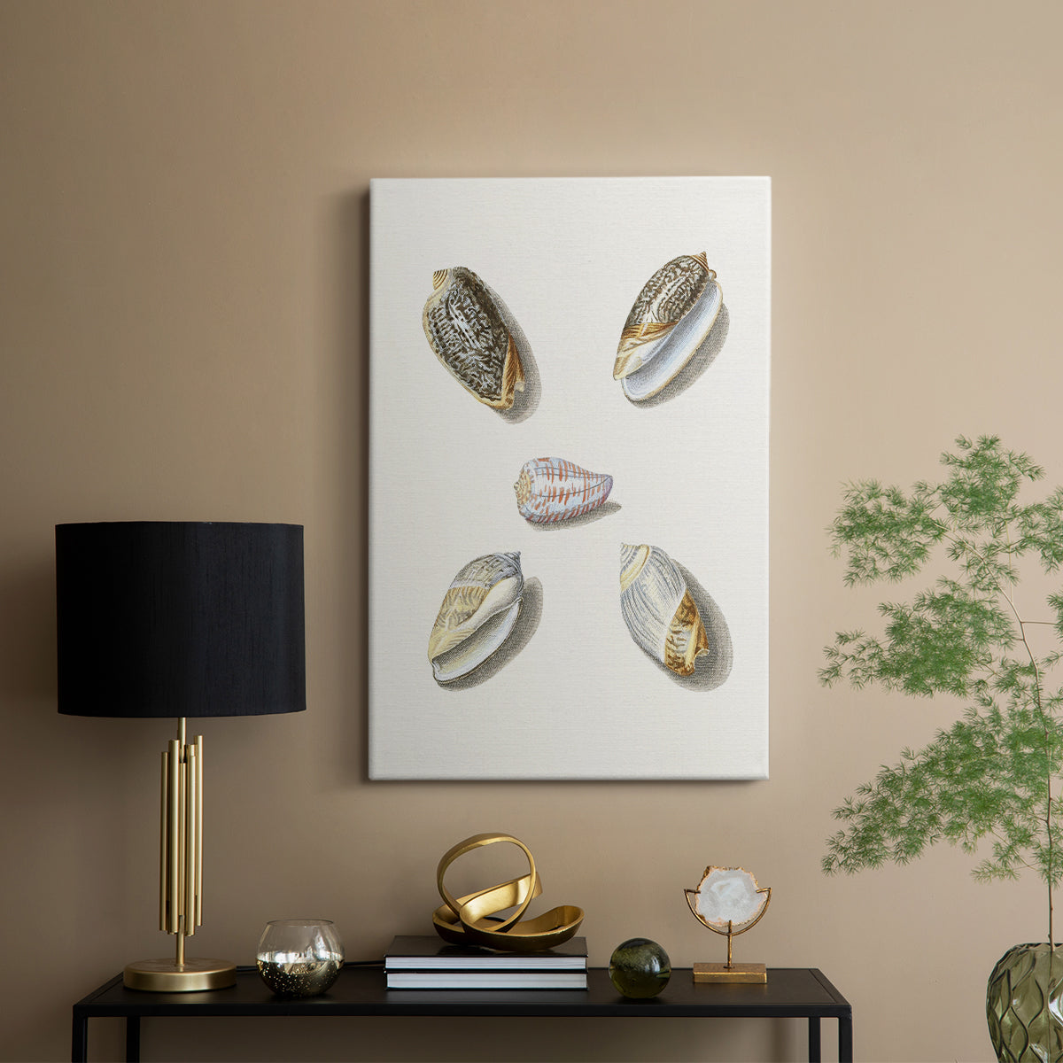 Pastel Knorr Shells III - Canvas Art Print