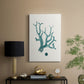 Antique Coastal Coral IX - Canvas Art Print