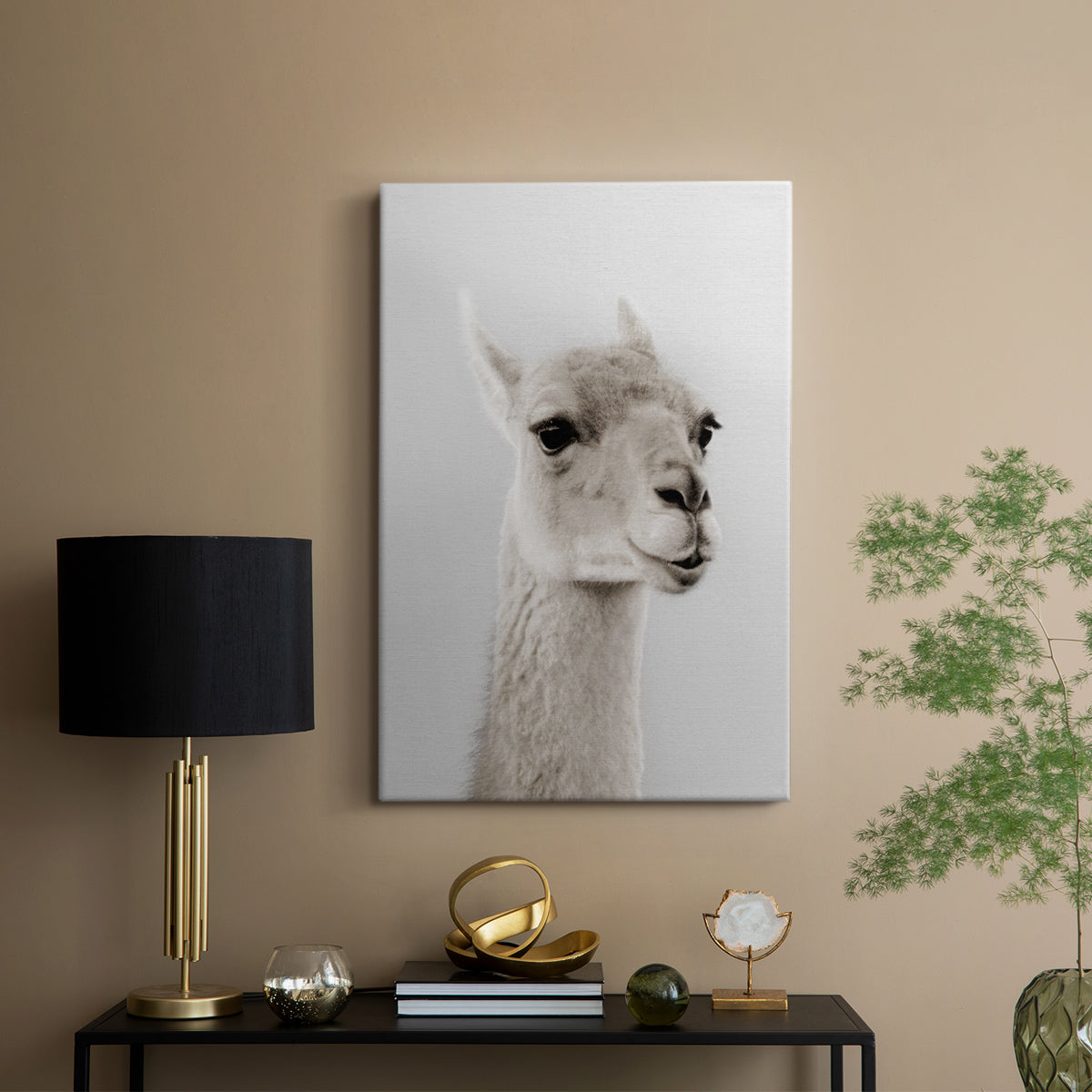 Soft Llama - Canvas Art Print