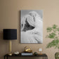 Island Pony II - Canvas Art Print