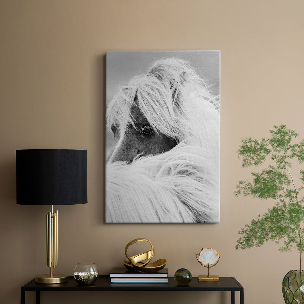 Island Pony II - Canvas Art Print
