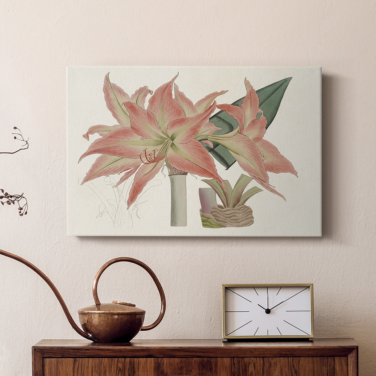Amaryllis Varietals III - Canvas Art Print