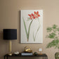 Flowers of the Seasons IV - Canvas Art Print