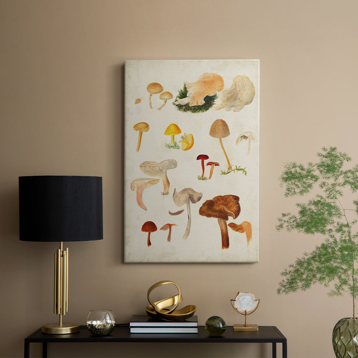 Mushroom Species XII - Canvas Art Print