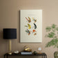 Bass Flies I - Canvas Art Print