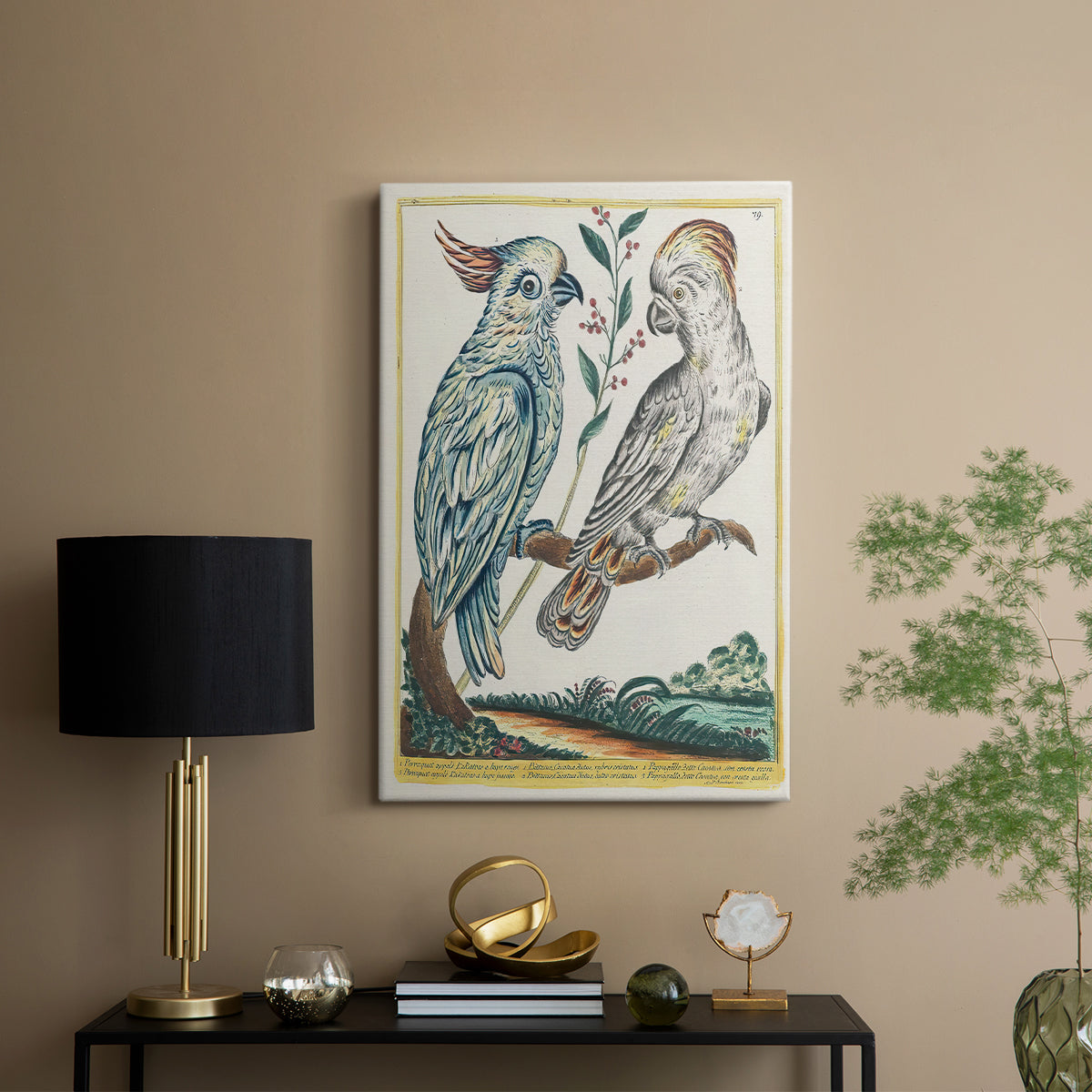 Red-Lipped and Yellow-Crested Cockatoos, 1771-1775 - Canvas Art Print