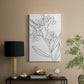 Botanical Sketch II - Canvas Art Print