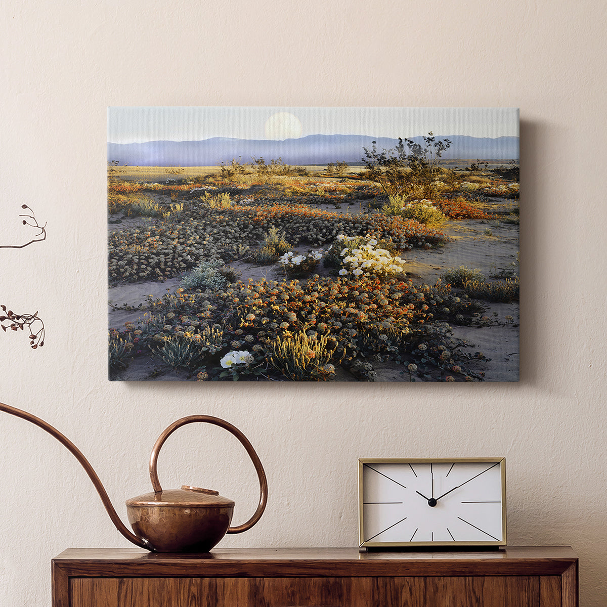 Anza Borrego Desert - Canvas Art Print