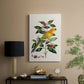 Solstice Parrot, 1796 - Canvas Art Print