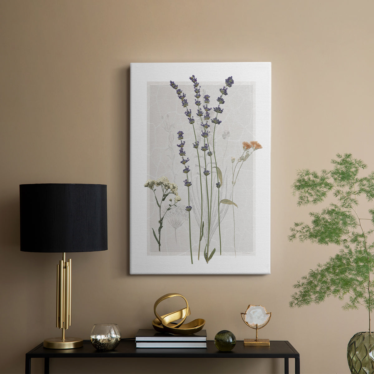 Field Study Page I - Canvas Art Print