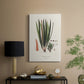 Botanical Society Ferns V - Canvas Art Print