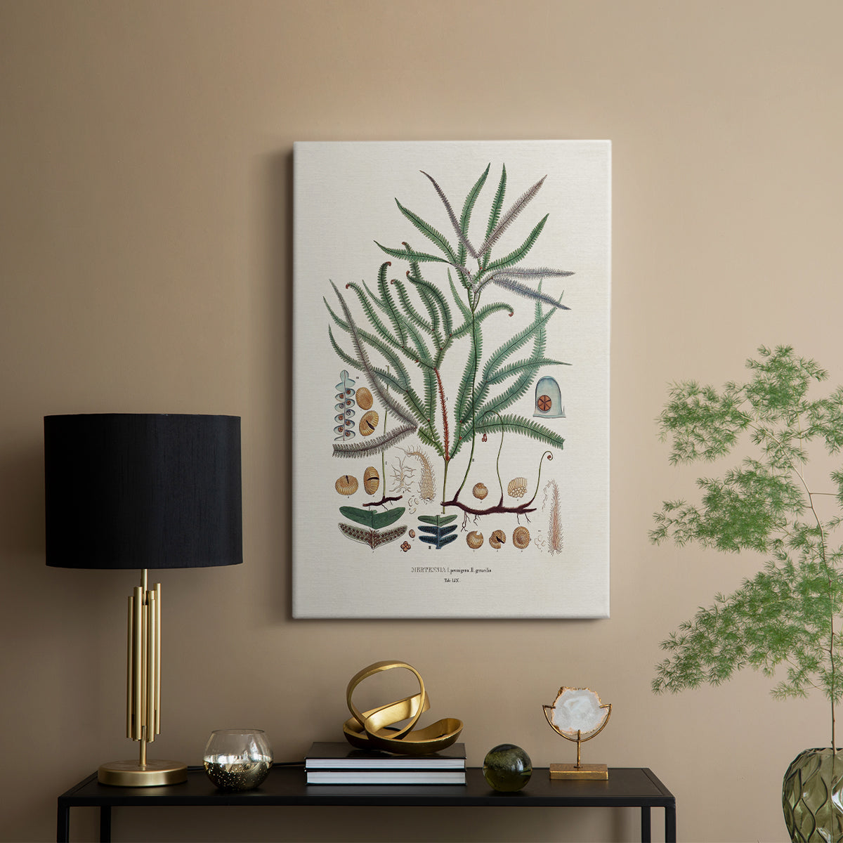 Botanical Society Ferns VII - Canvas Art Print