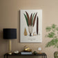 Botanical Society Ferns I - Canvas Art Print