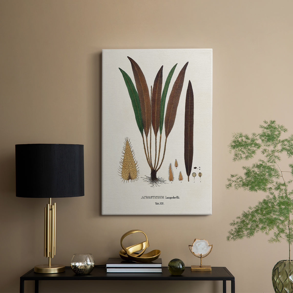 Botanical Society Ferns I - Canvas Art Print