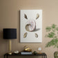 Pastel Knorr Shells II - Canvas Art Print