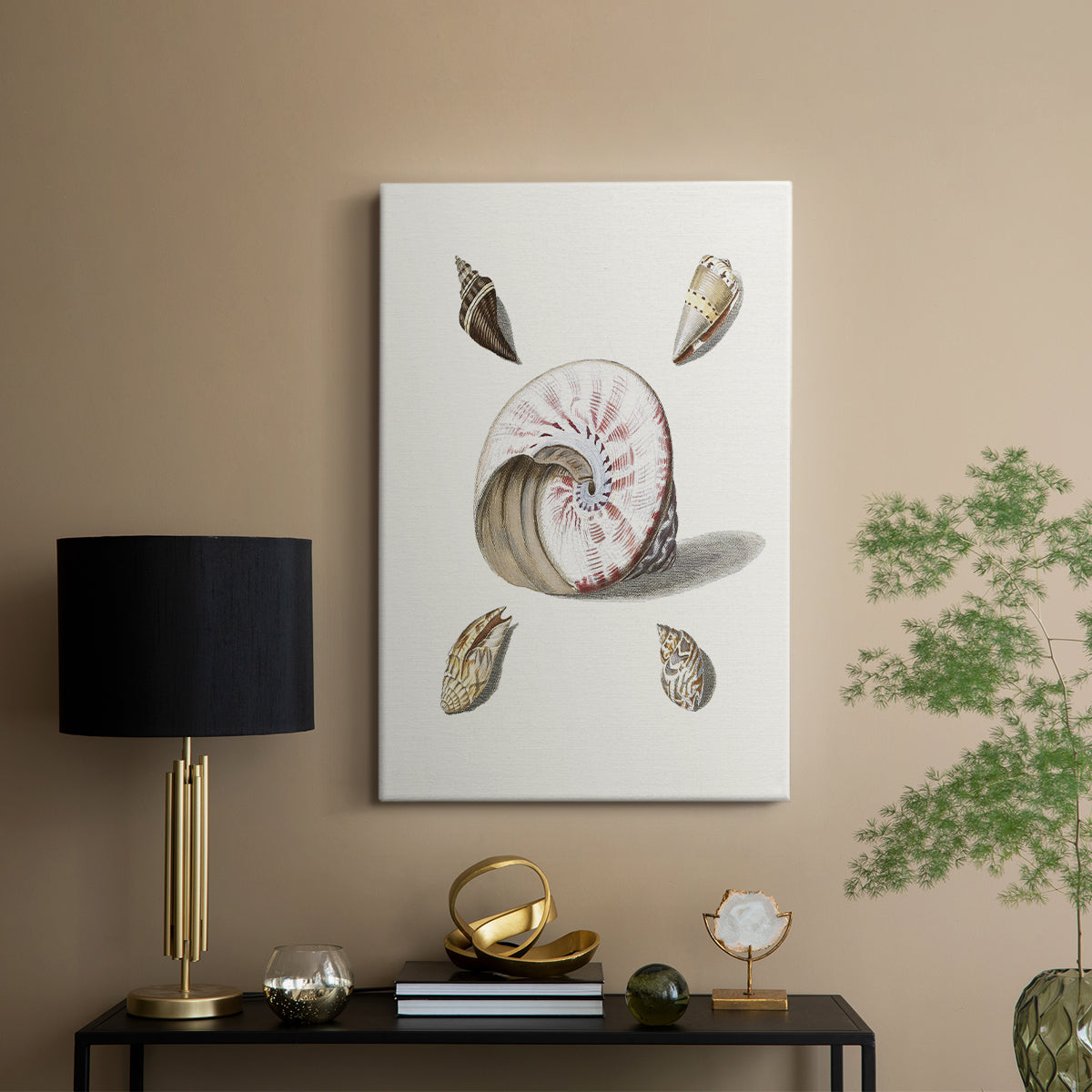 Pastel Knorr Shells II - Canvas Art Print