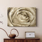 Neutral Wall Flower IV - Canvas Art Print