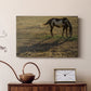 Long Shadow - Canvas Art Print