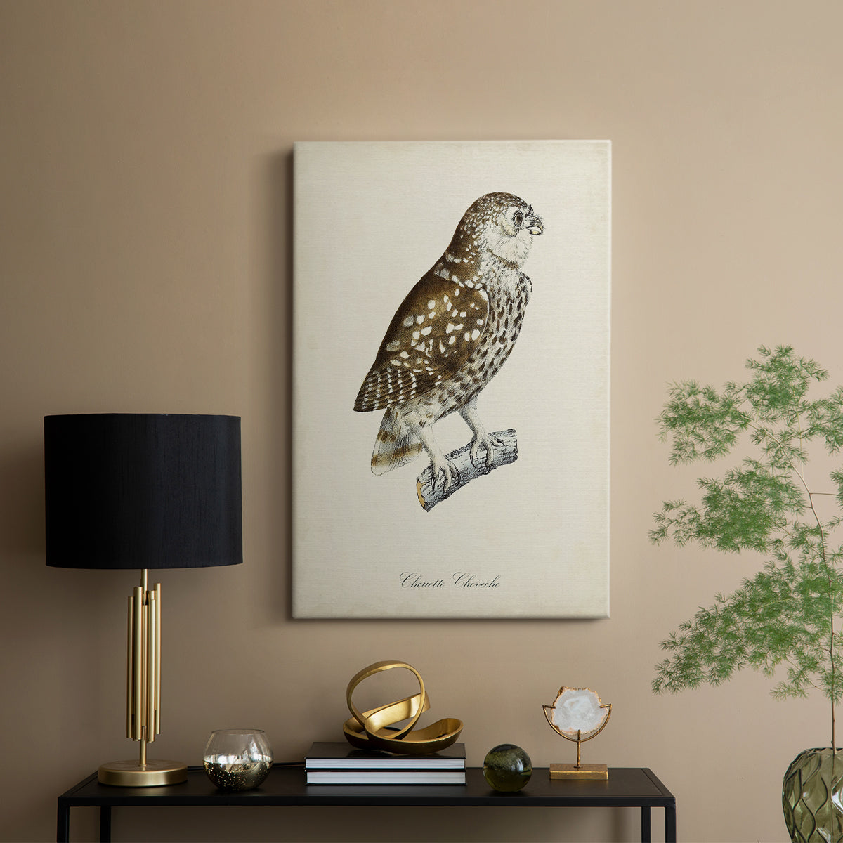 French Owls I - Canvas Art Print