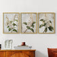Floral Study Series LXXXVII - Restickable Framed Art Set