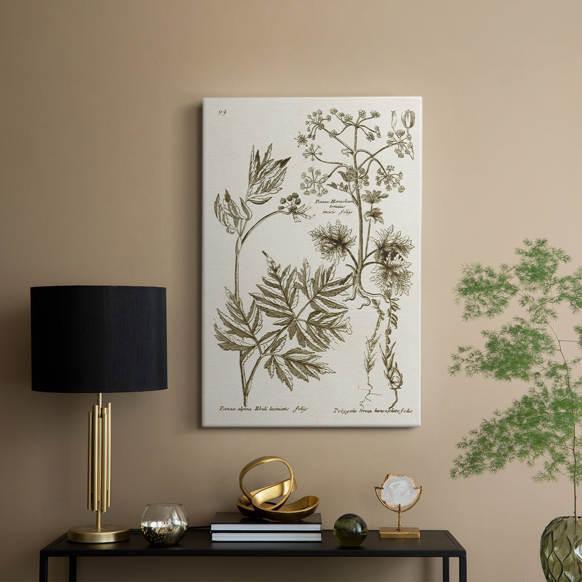 Sepia Botanical Journal III - Canvas Art Print