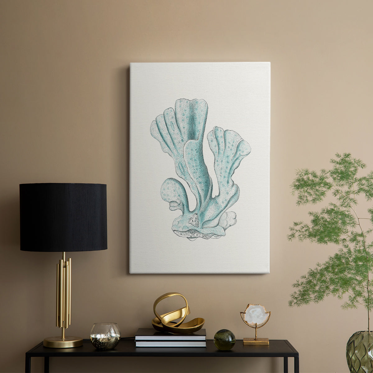 Antique Coastal Coral XI - Canvas Art Print