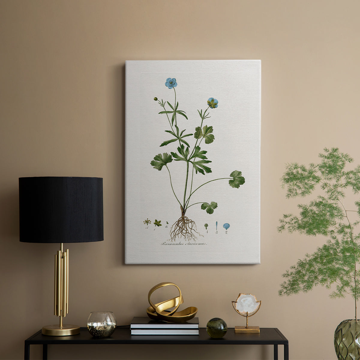 Buttercup Study - Canvas Art Print