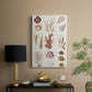 Coral & Shell Collage II - Canvas Art Print