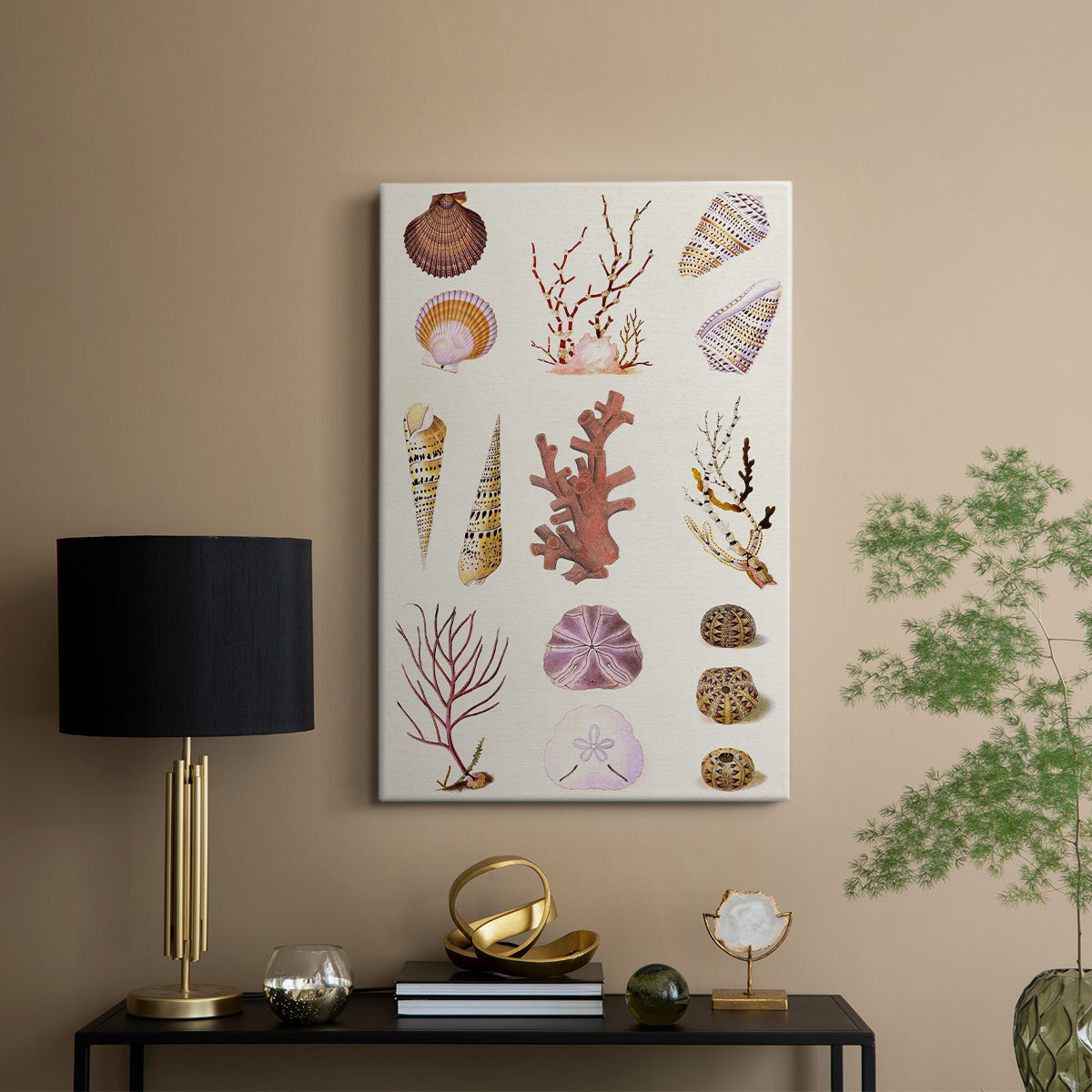 Coral & Shell Collage II - Canvas Art Print