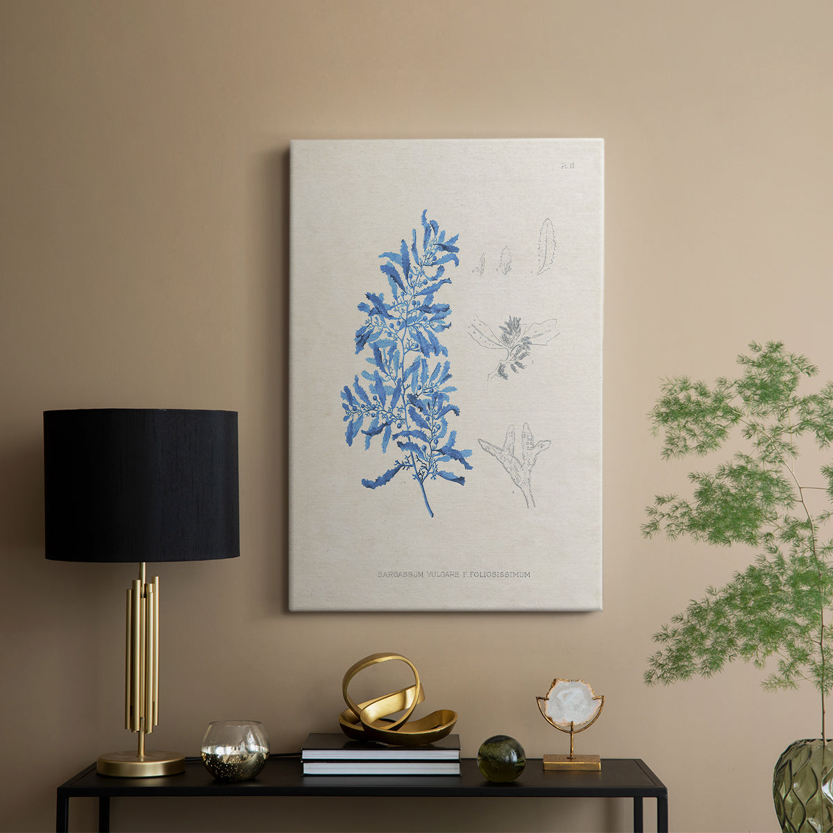 Blue Marine Algae VI - Canvas Art Print