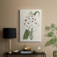 Flore Albo II - Canvas Art Print