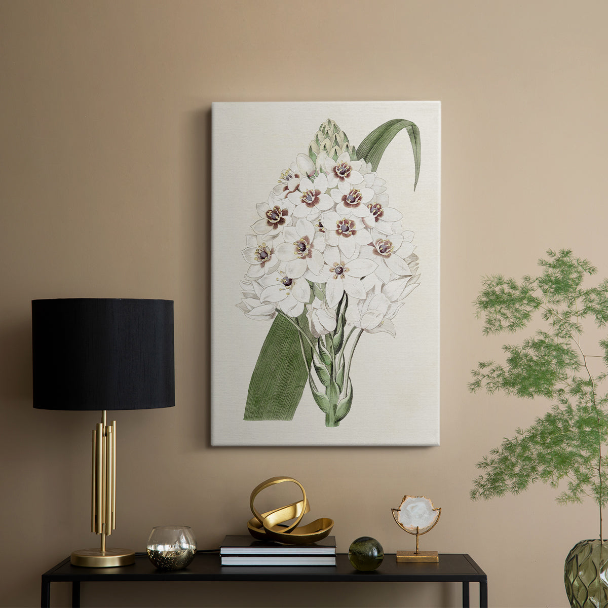Flore Albo II - Canvas Art Print