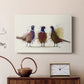 Pheasant Trio - Canvas Art Print