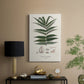 Botanical Society Ferns XII - Canvas Art Print