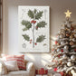 Silver Promise of Nativity - Canvas Art Print
